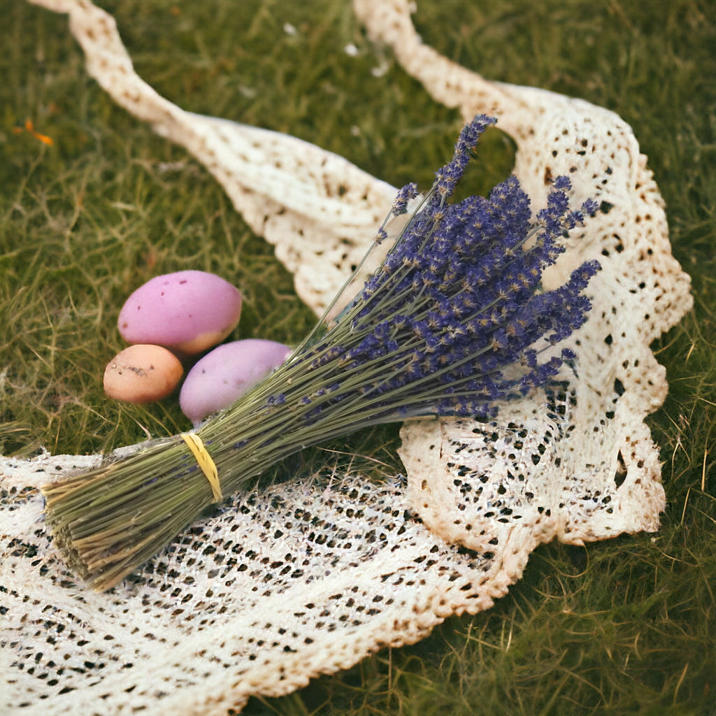 Fresh Culinary Lavender Bundles 14-18 inch