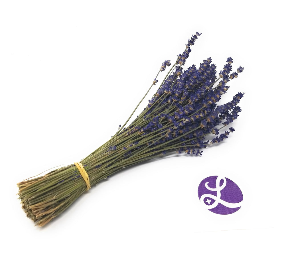 Fresh Culinary Lavender Bundles 14-18 inch