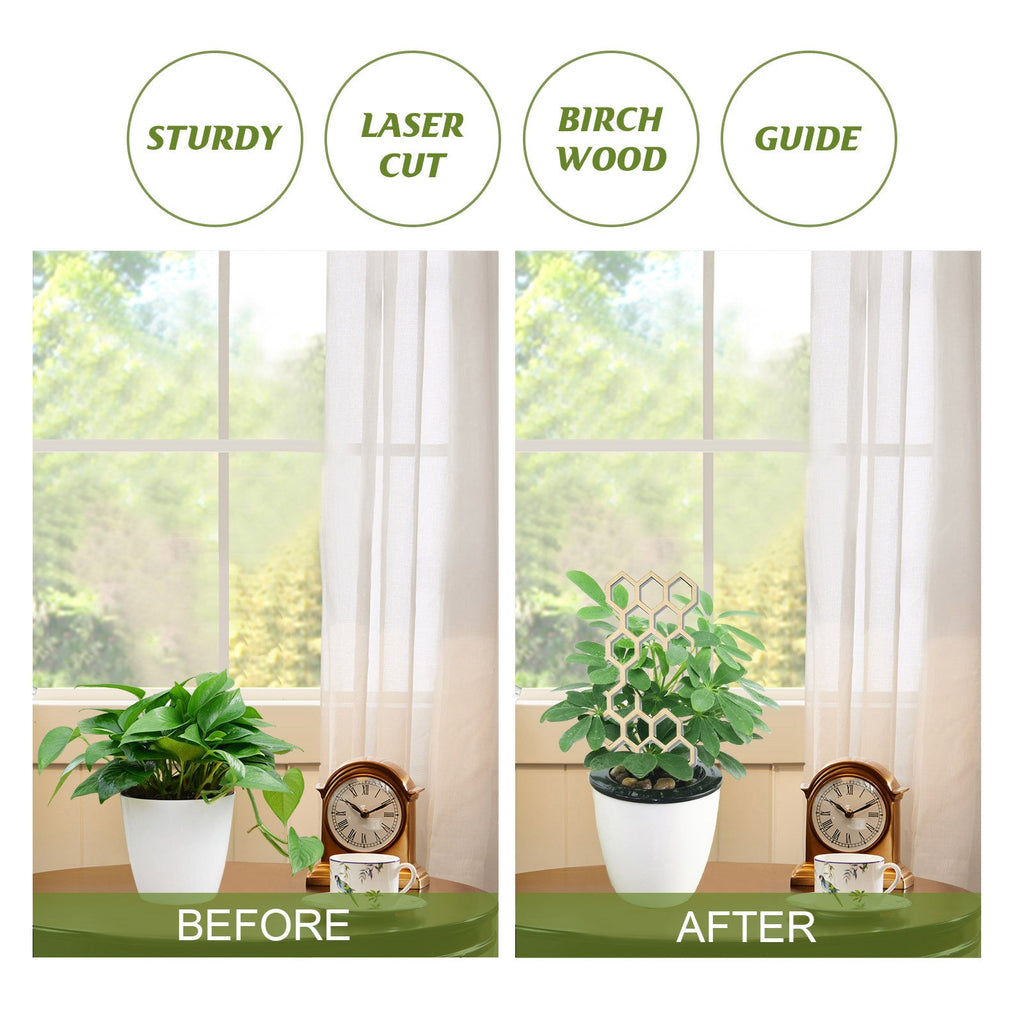 Plant Trellis Home Wooden Pot Climbing Pergola