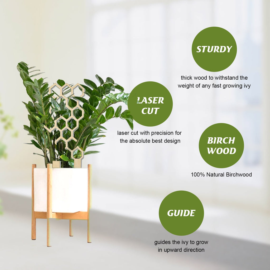 Plant Trellis Home Wooden Pot Climbing Pergola