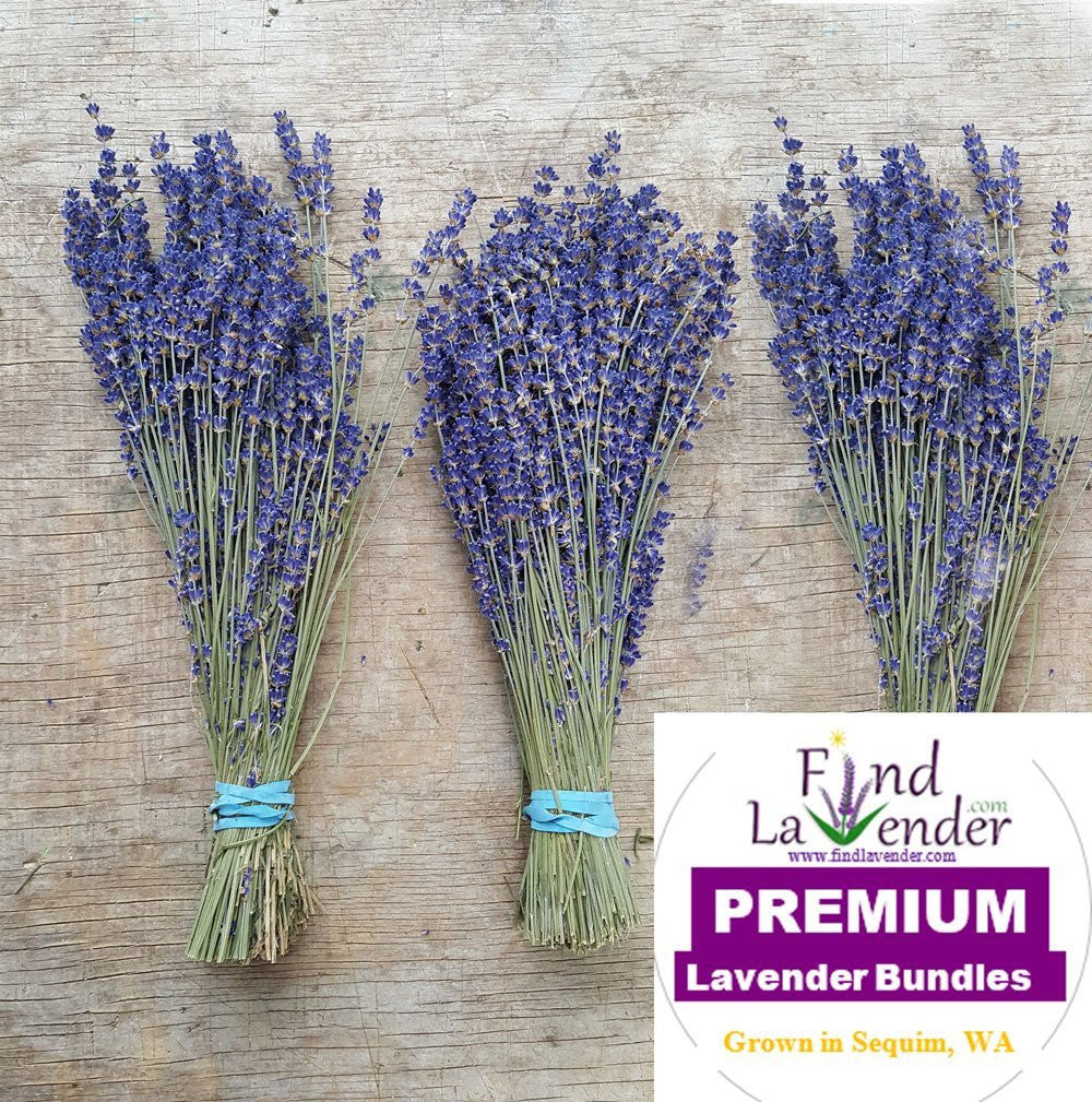 Fresh Culinary Lavender Bundles 14-18 inch