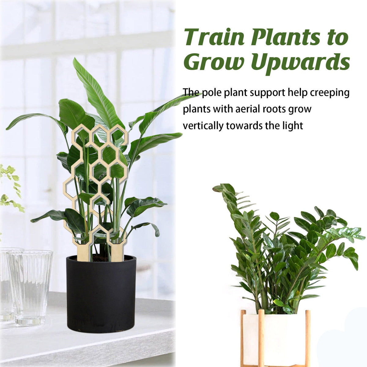 Plant Trellis Home Wooden Pot Climbing Pergola