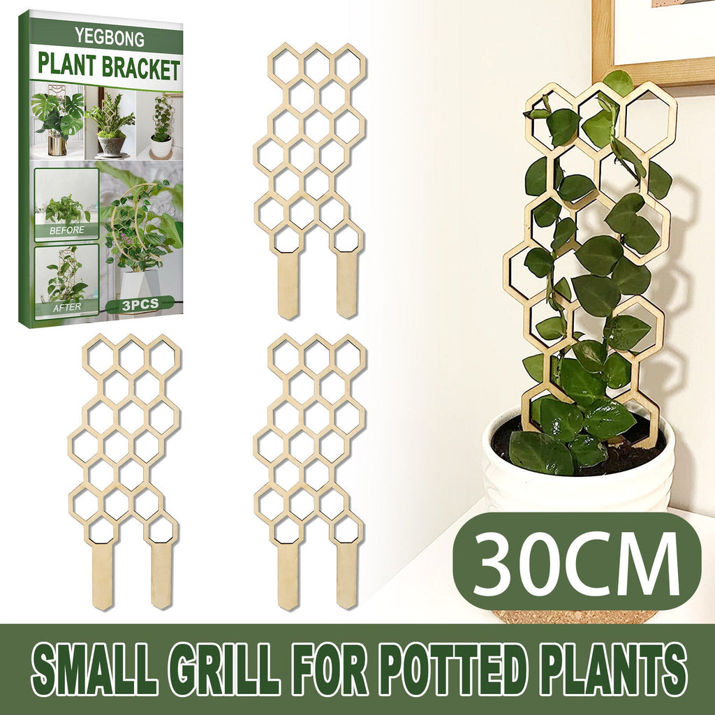 Plant Trellis Home Wooden Pot Climbing Pergola