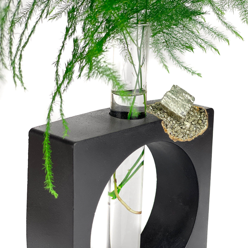 PYRITE PROPAGATION STATION