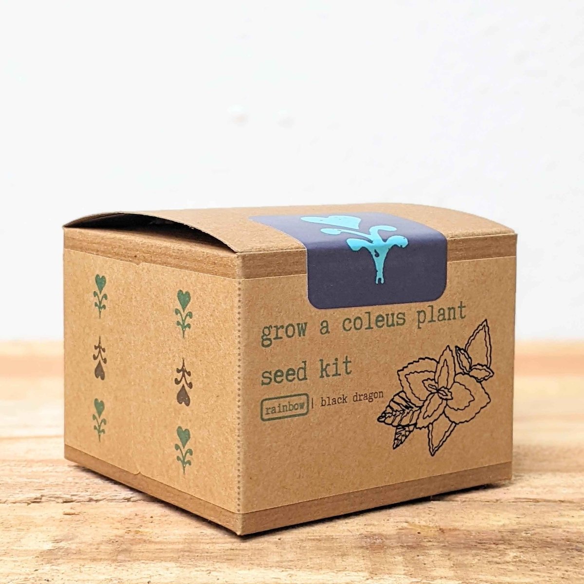 Grow a Coleus Seed Kit