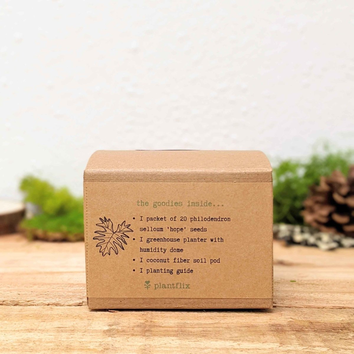 Grow a Philodendron Seed Kit