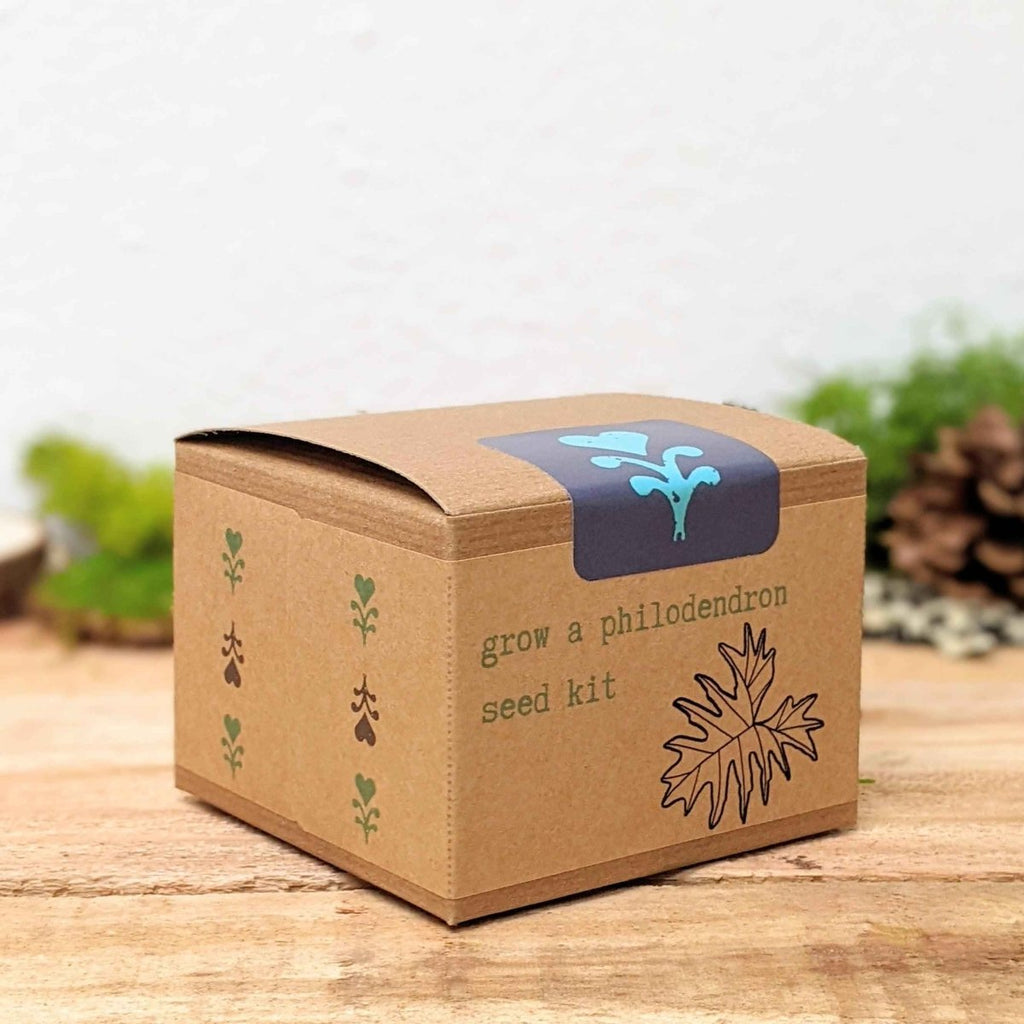 Grow a Philodendron Seed Kit