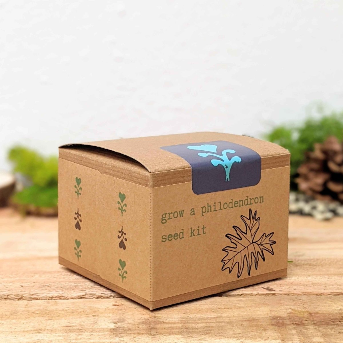 Grow a Philodendron Seed Kit
