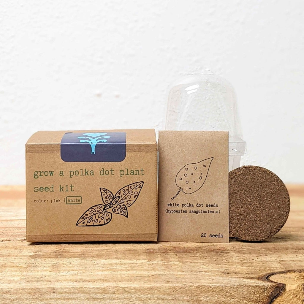 Grow a Polka Dot Seed Kit