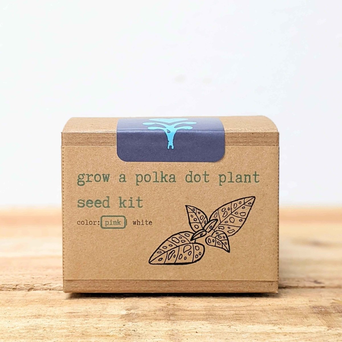 Grow a Polka Dot Seed Kit