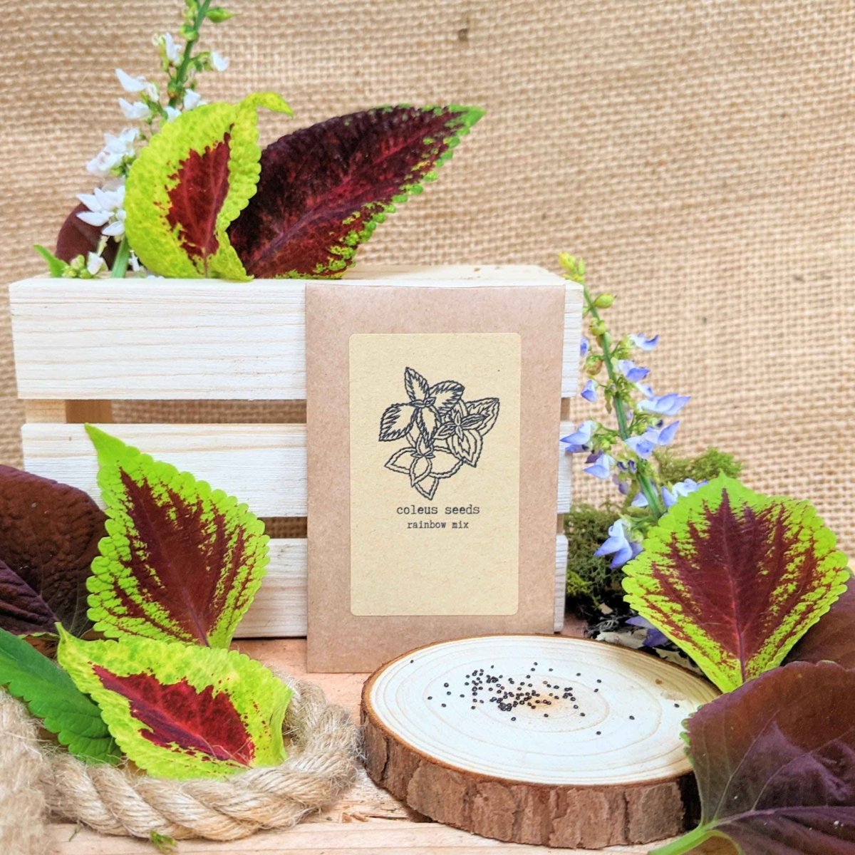 "Grow your own Jungle" Houseplant Seed Collection