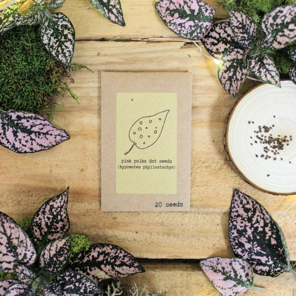 "Grow your own Jungle" Houseplant Seed Collection