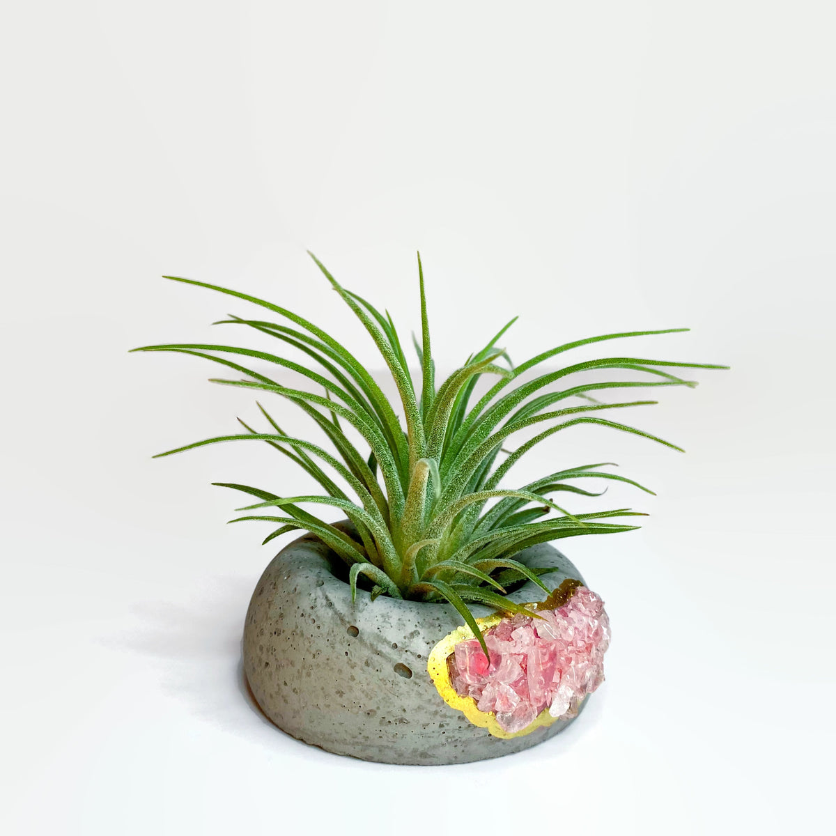 Geode Air Plant Holder