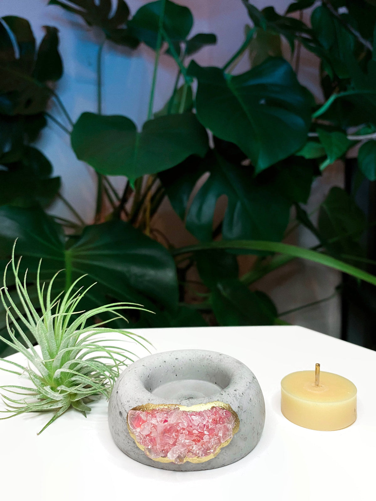 Geode Air Plant Holder