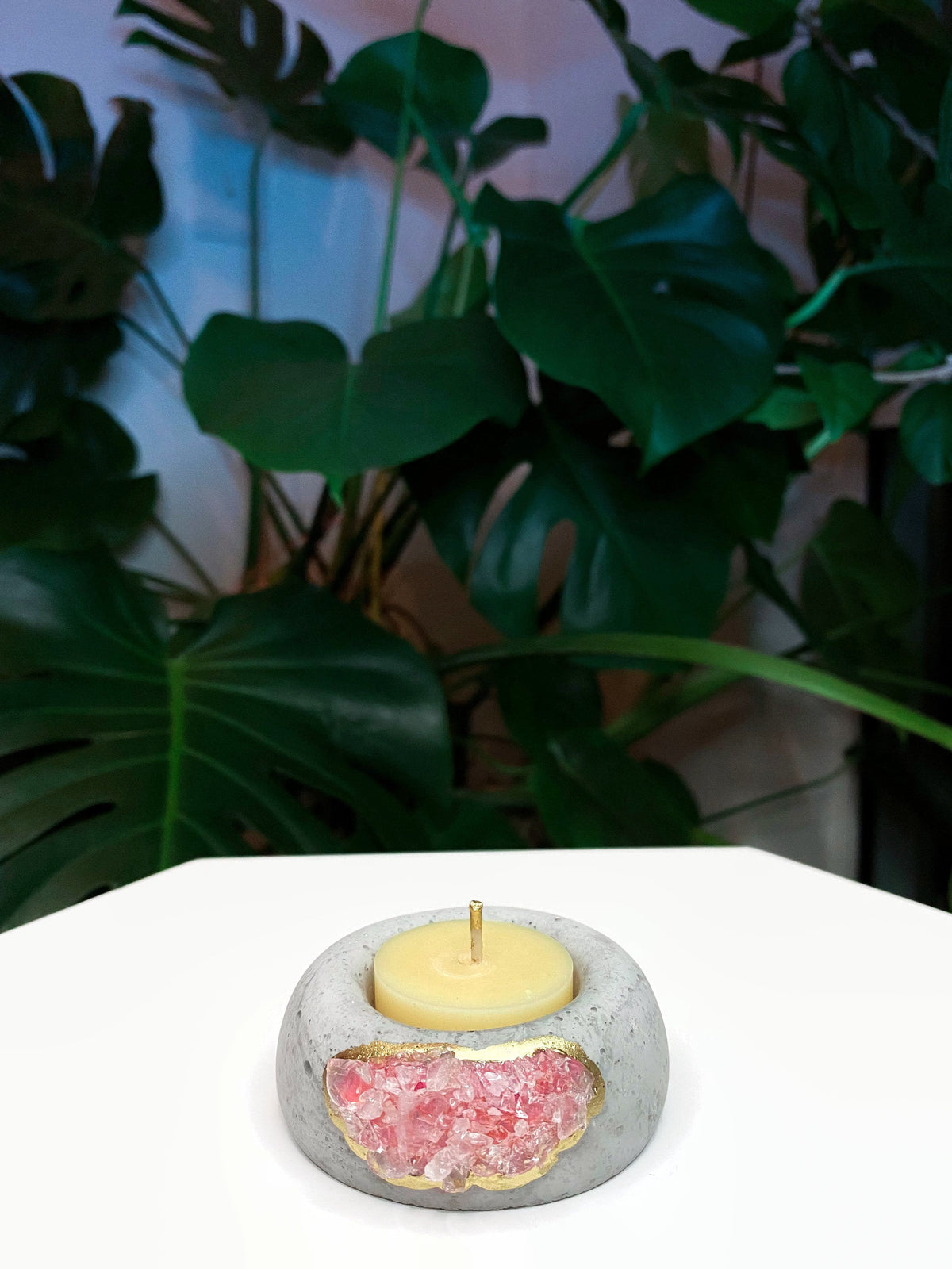 Geode Air Plant Holder
