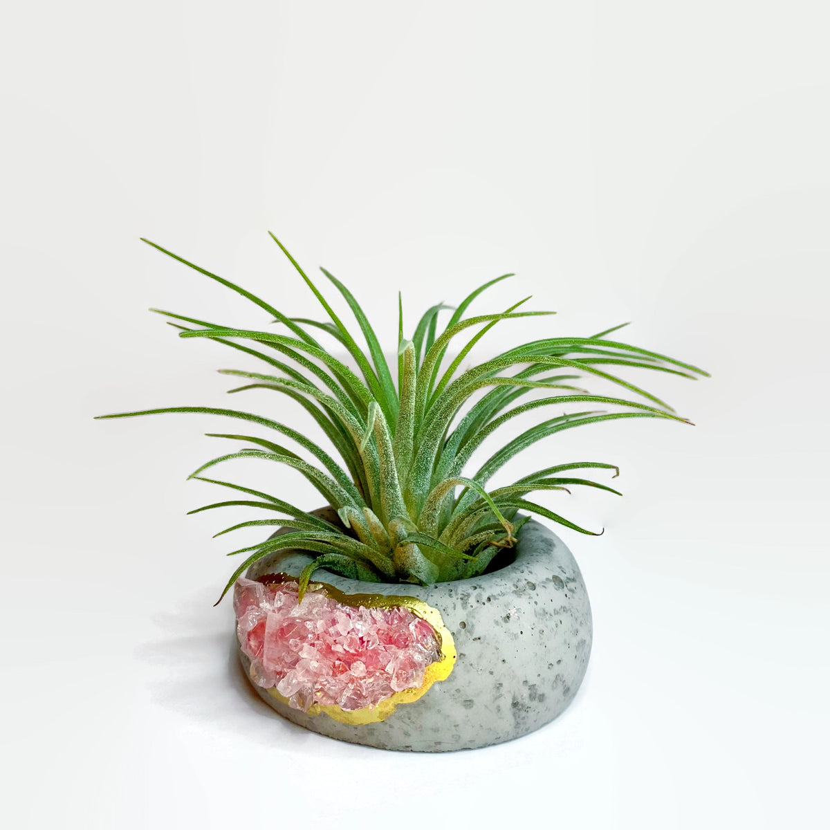 Geode Air Plant Holder