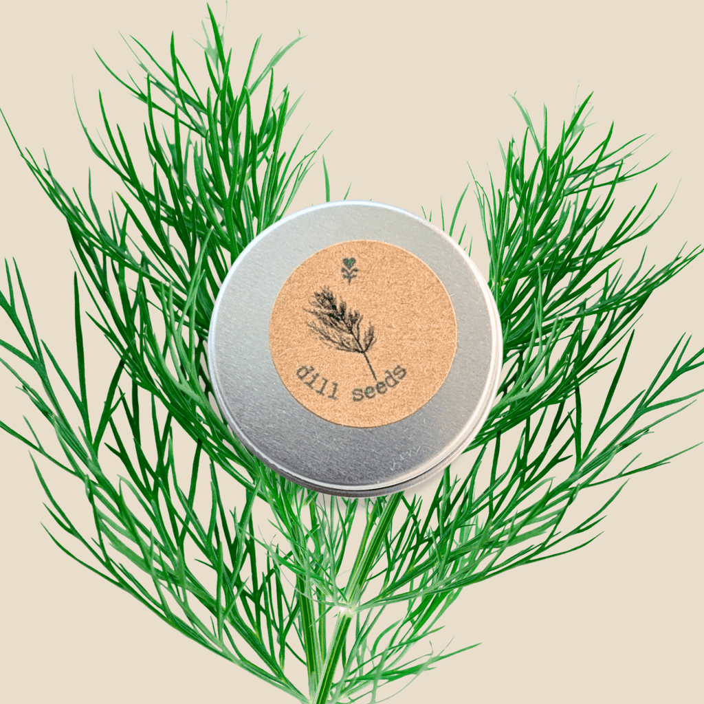 Organic Dill Seeds
