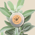 Organic Sage Seeds